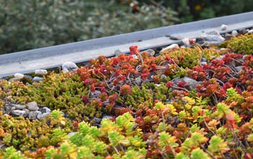 the cost of Upper Breinton green roof installation