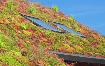 Upper Breinton living roof systems
